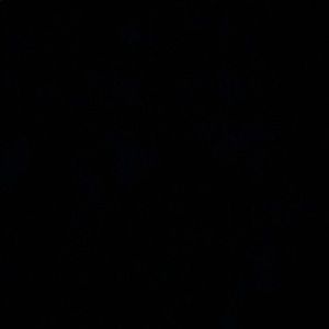 Meet your Posher, Faith